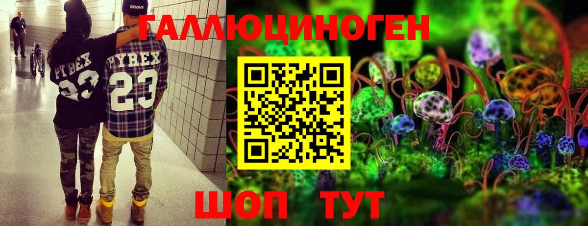 Людиново  Галлюциногенные грибы Cubensis  где найти наркотики  Вход с VPN  Псилоцибиновые грибы GOLDEN TEACHER 