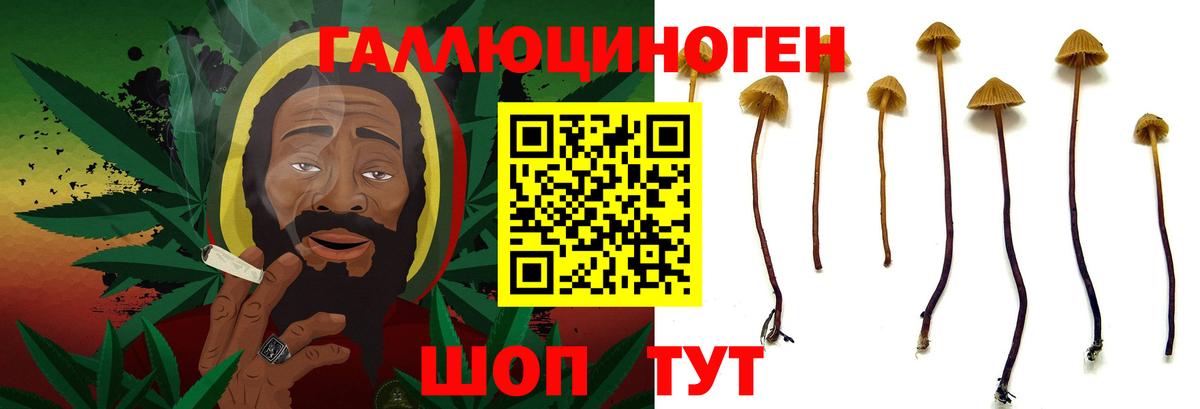 Галлюциногенные грибы мицелий Людиново