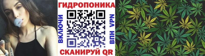 Канабис ГИДРОПОН Людиново